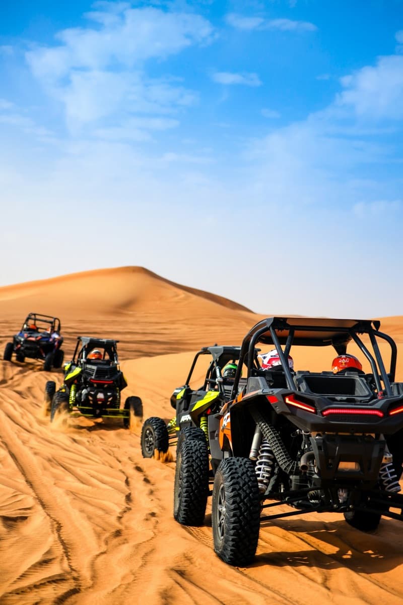 Desert Buggy Adventure