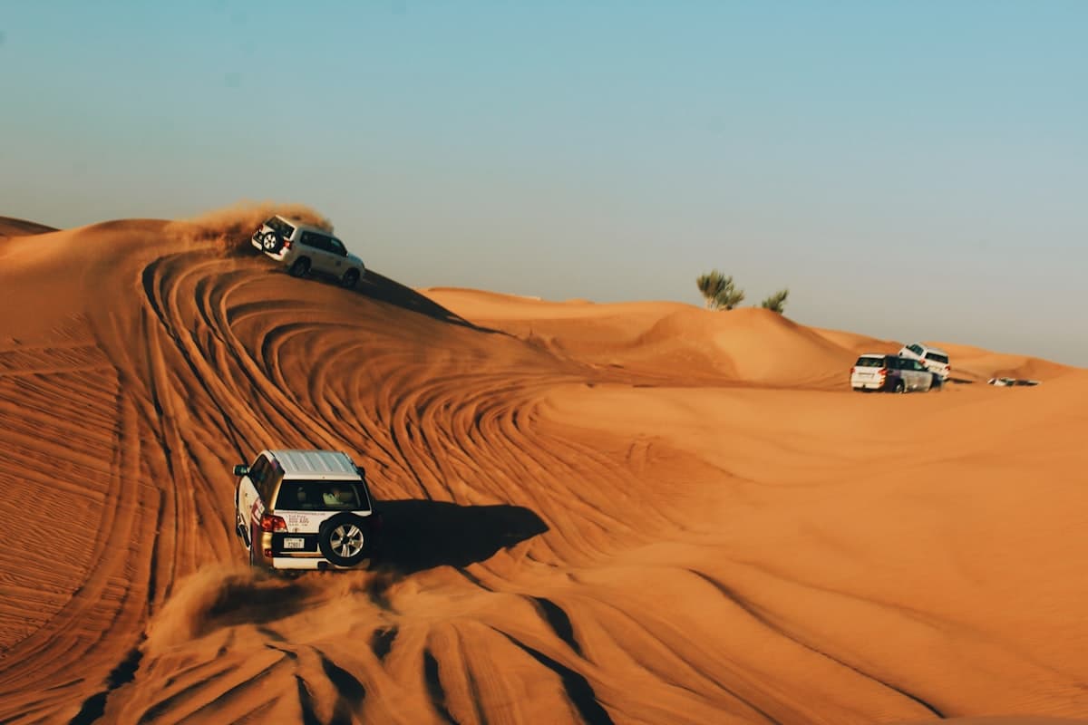 VIP Desert Safari