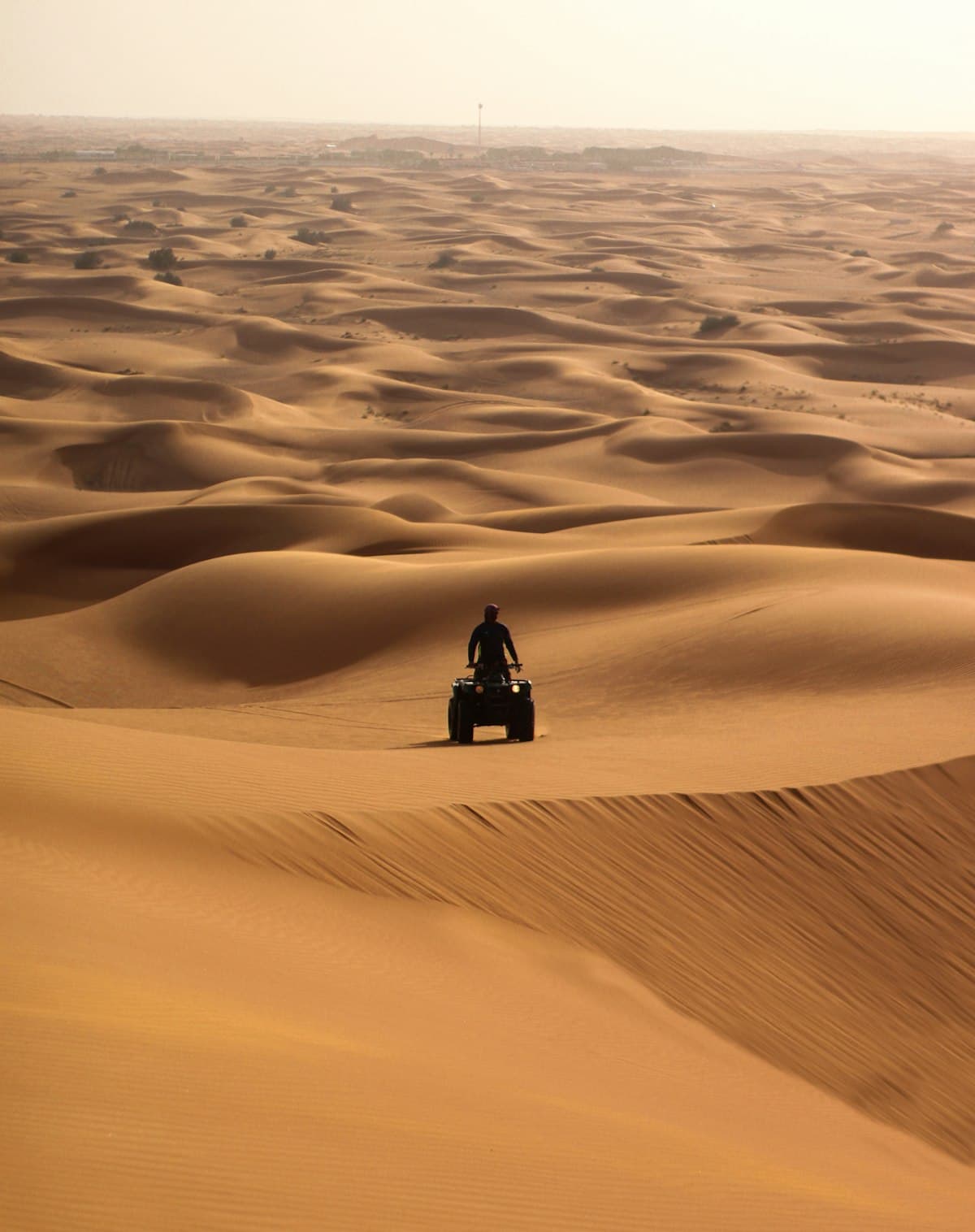 Quad / ATV Desert Ride