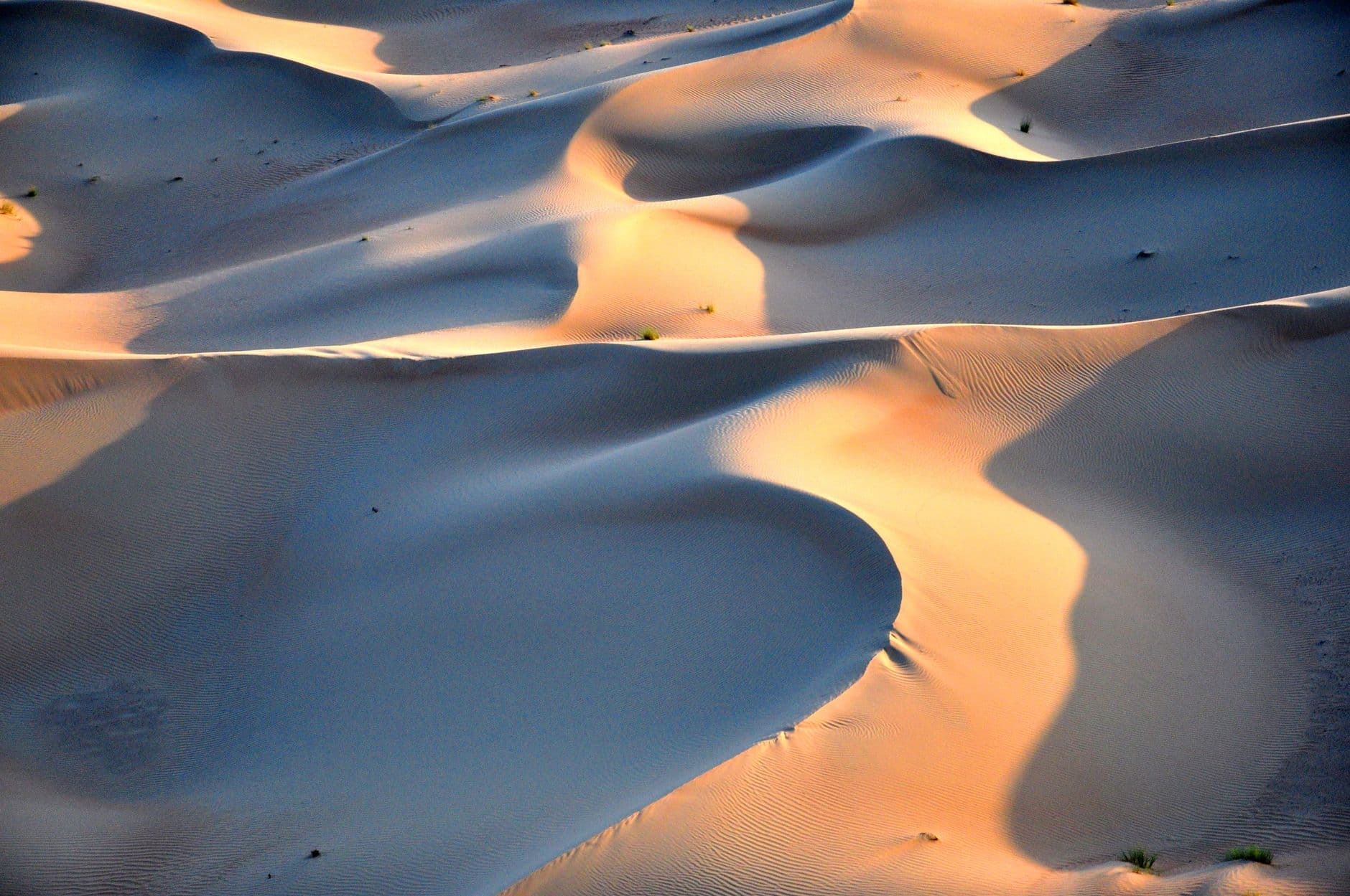 Powerful red buggy crossing high golden dunes of Dubai desert at sunset in 2026